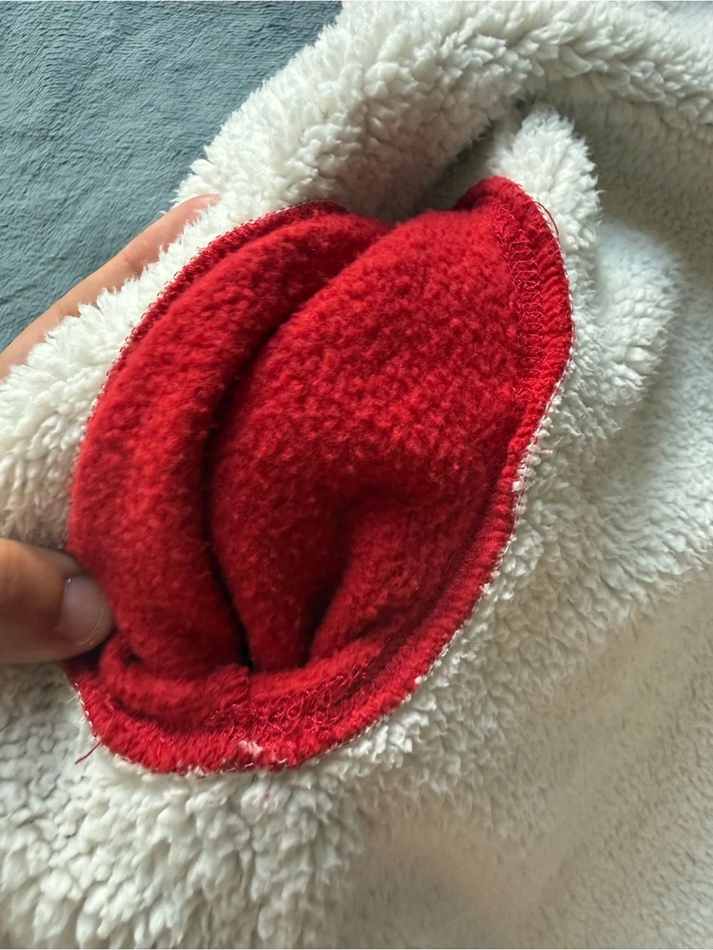 GAP Red Fleece Zip-Up Hoodie with Cream Sherpa Lining
